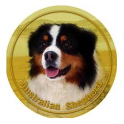 Australian Shepherd