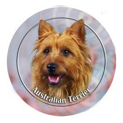Australian Terrier