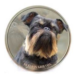 Griffon Belge