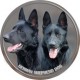 German Shepherd Dog  