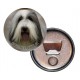 Bearded Collie