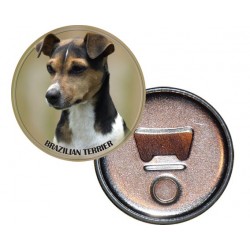 Brasilian Terrier