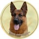 German Shepherd Dog  