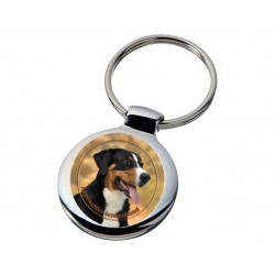 Appenzeller Sennenhund