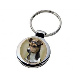 Brasilian Terrier
