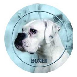 Boxer