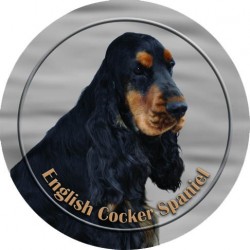 English Cocker Spaniel