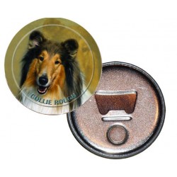 Collie Rough