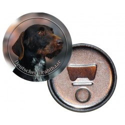 Deutscher Drahthaariger Vorstehhund