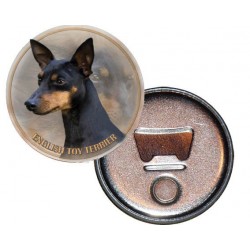  Toy Terrier