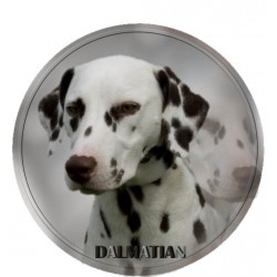 Dalmatiner