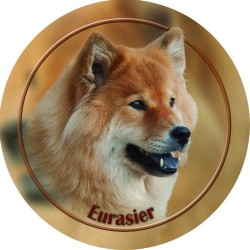 Eurasier