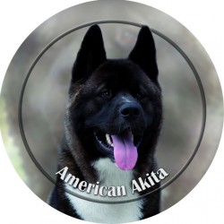American Akita