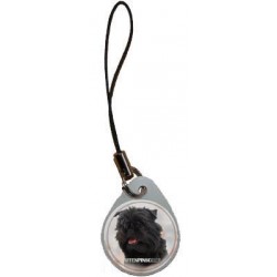 Affenpinscher