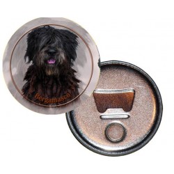 Bergamasco