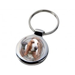Basset Hound