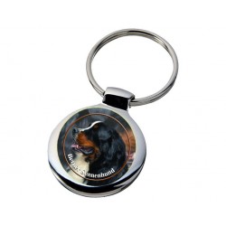 Berner Sennenhund