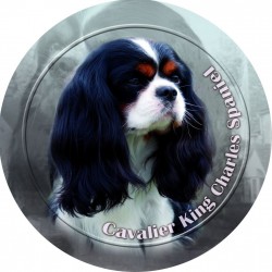 Cavalier King Charles Spaniel