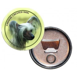 Chinese Crested Dog