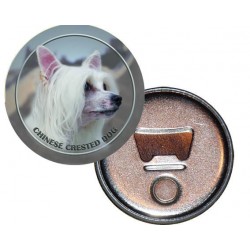 Chinese Crested Dog