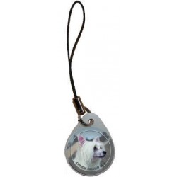 Chinese Crested Dog 