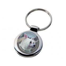 Chinese Crested Dog