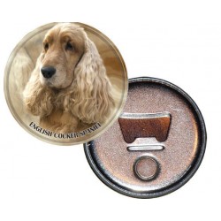 English Cocker Spaniel
