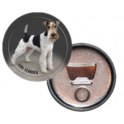 Fox Terrier