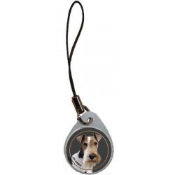 Fox Terrier