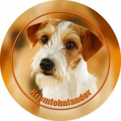 Kromforländer