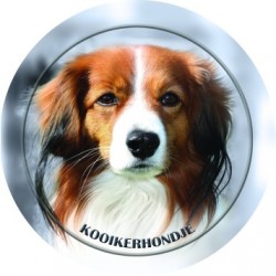 Kooikerhondje