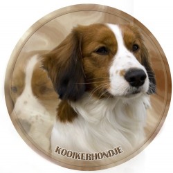Kooikerhondje