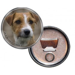 Jack Russell Terrier
