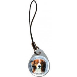 Kooikerhondje 