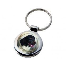 Kleiner Münsterländer Vorstehhund
