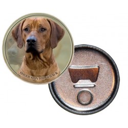 Rhodesian ridgeback