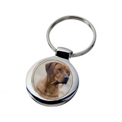 Rhodesian ridgeback