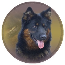 Alt Deutsche Schäfferhund