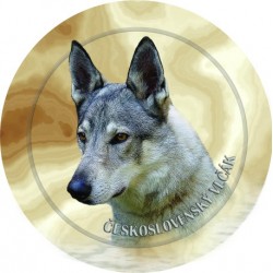 Tschechoslowakischer Wolfshund