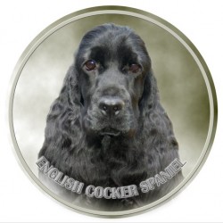 English Cocker Spaniel