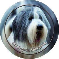 Bobtail