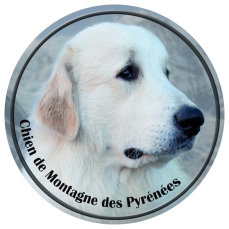 Chien de Montagne des Pyrénées Chien de Montagne des Pyrénées