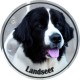 Landseer