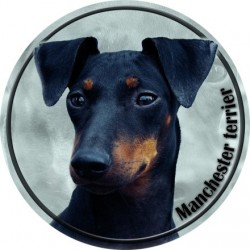 Manchester Terrier