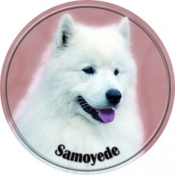Samojede