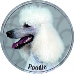 Pudel
