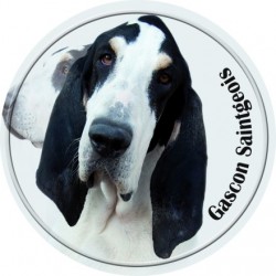 Gascon Saintongeois