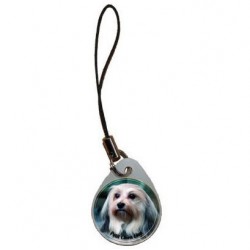 Petit chien lion