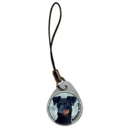 Manchester Terrier