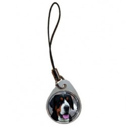 Großer Schweizer Sennenhund
